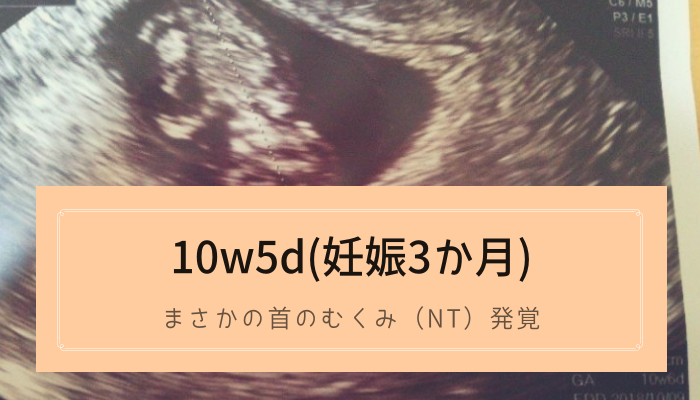 10w5d 首のむくみ Nt 胎児浮腫 を指摘された時の心境 てんの育児キロク