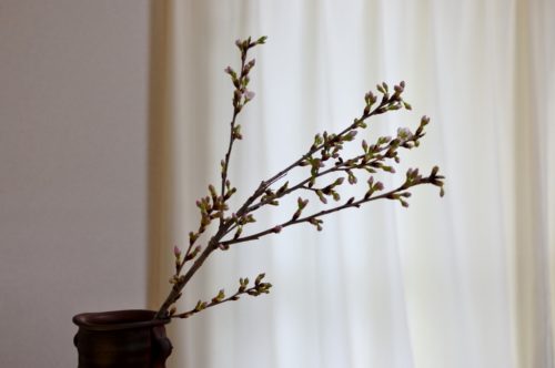 ひな祭り 0歳&3歳 転勤族 壁掛け 手作り 桜