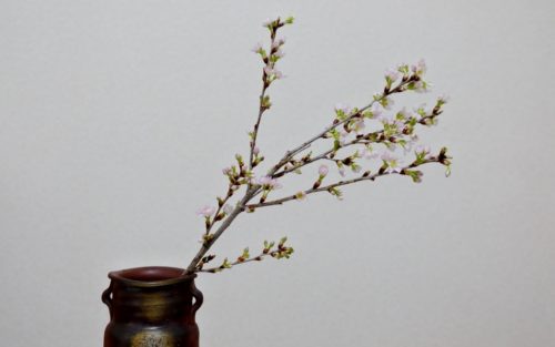 ひな祭り 0歳&3歳 転勤族 壁掛け 手作り 桜